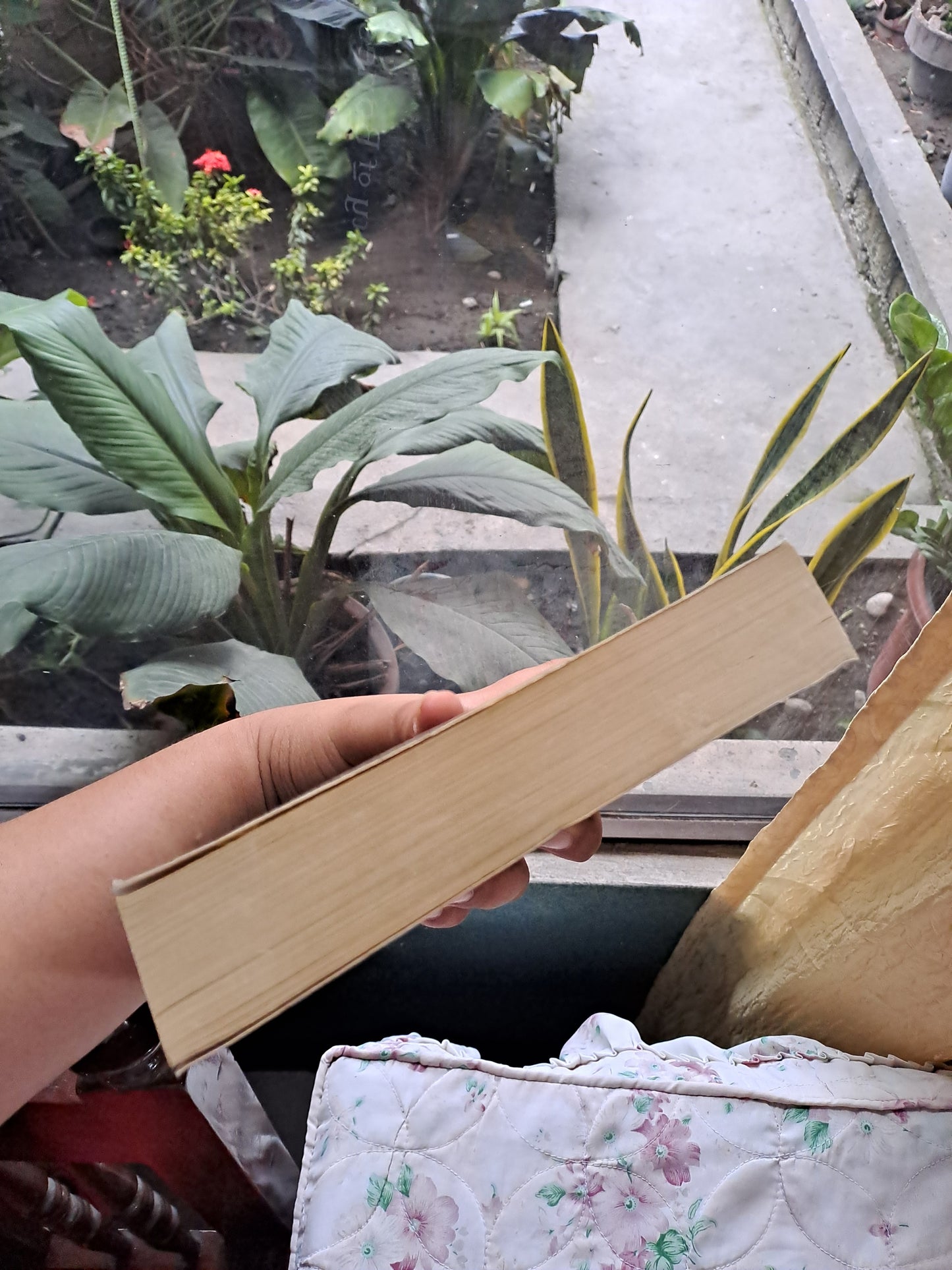 City of Bones by Cassandra Clare