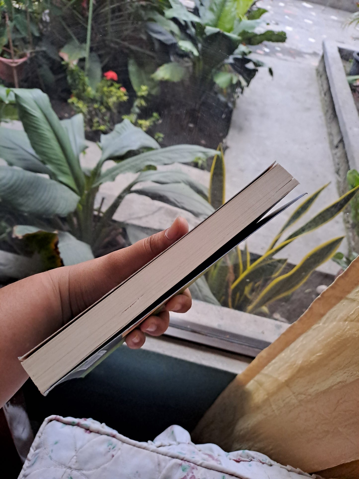 A Series of Unfortunate Events Book 2: The Reptile Room by Lemony Snicket