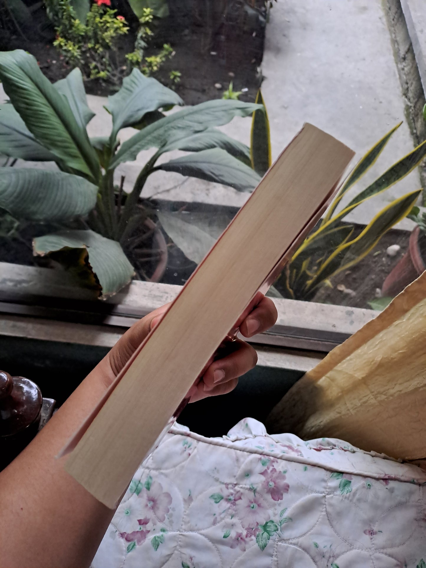 The Fixer by Claudia Carroll