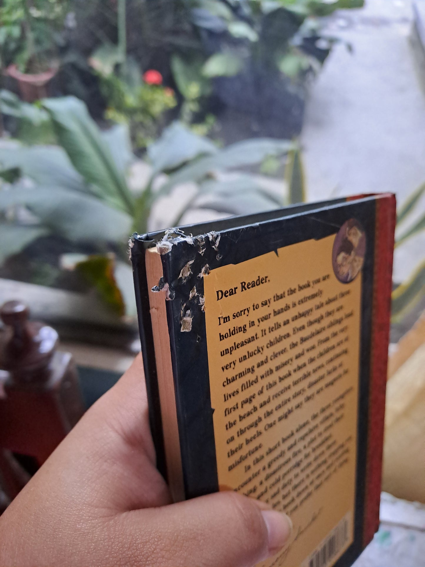 A Series of Unfortunate Events Book 1: The Bad Beginning by Lemony Snicket