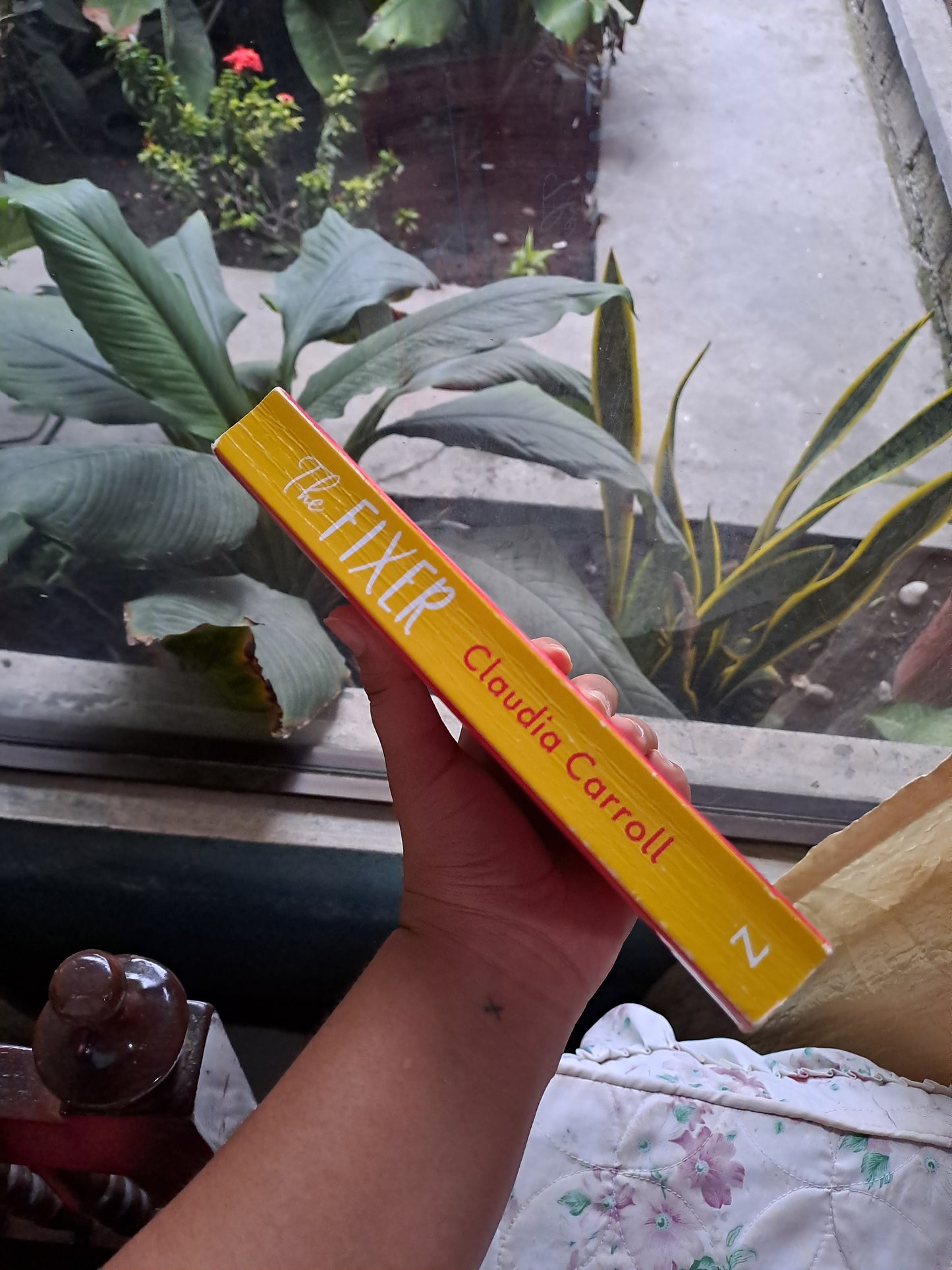 The Fixer by Claudia Carroll