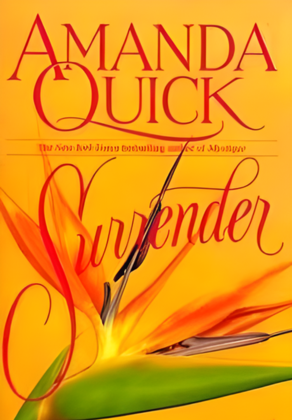 Surrender by Amanda Quick