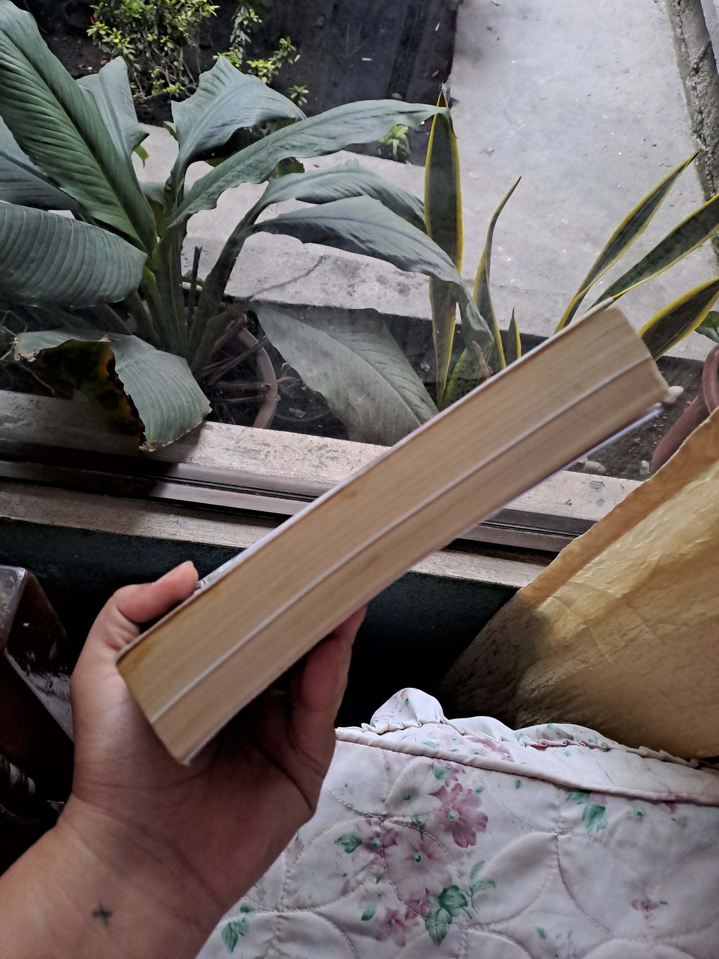 SAS: Speed, Aggression, Surprise by Tom Petch