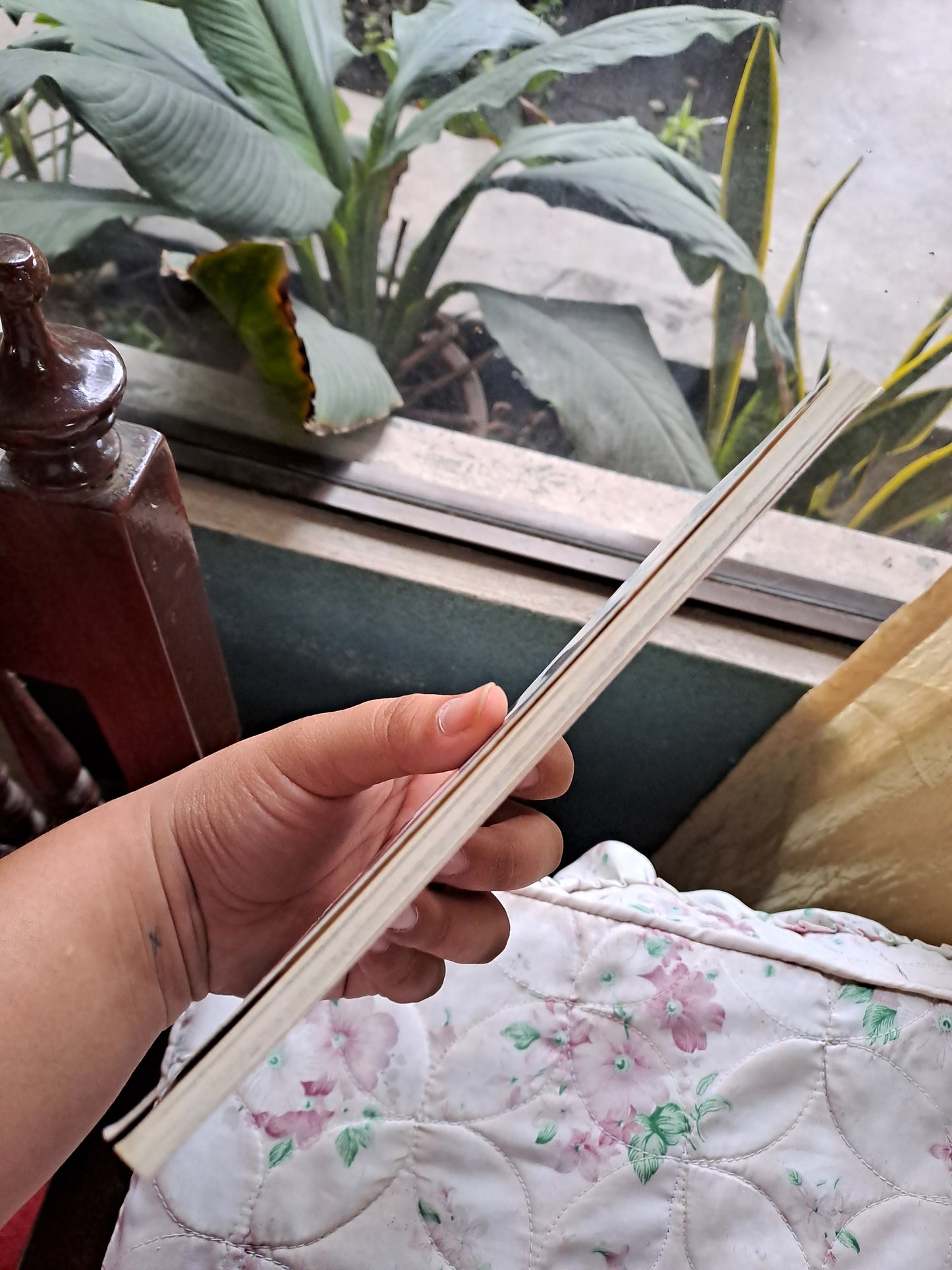 Sadie and Ratz by Sonya Hartnett