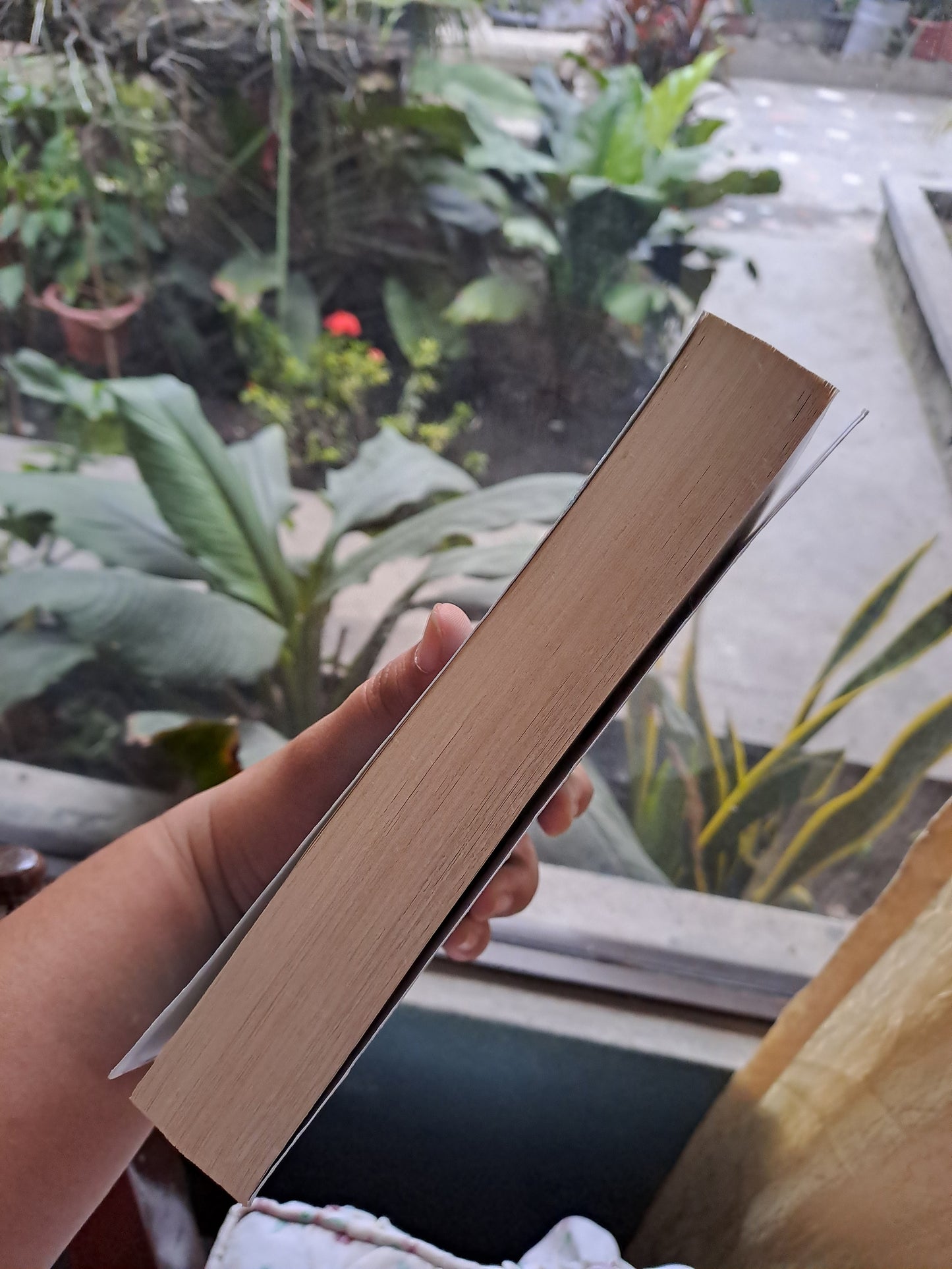 The Secrets of Primrose Square by Claudia Carroll